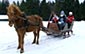 Photo activités neige 17 - raquettes, luge, traineau, igloo, yourte, randonnées dans la neige...