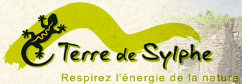 Association Terre de Sylphe : association d'accompagnateurs en montagne dans les Vosges. Organisation de randonnées à l'étranger
